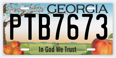 GA license plate PTB7673