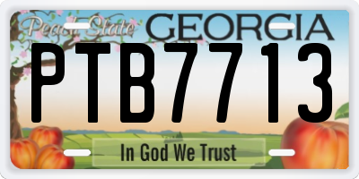 GA license plate PTB7713