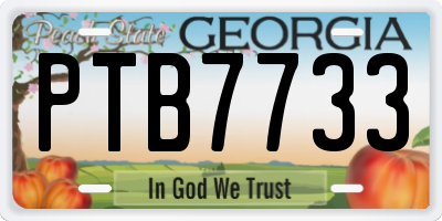GA license plate PTB7733