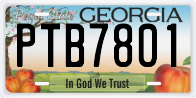 GA license plate PTB7801