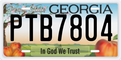 GA license plate PTB7804