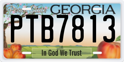 GA license plate PTB7813