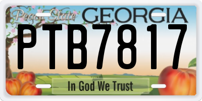 GA license plate PTB7817