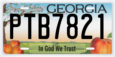 GA license plate PTB7821