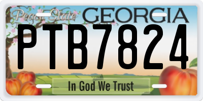 GA license plate PTB7824