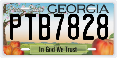 GA license plate PTB7828