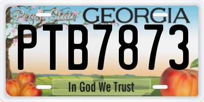 GA license plate PTB7873