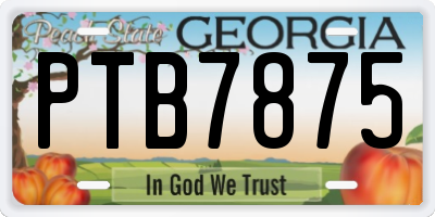GA license plate PTB7875