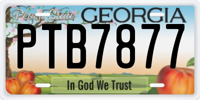 GA license plate PTB7877