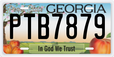 GA license plate PTB7879