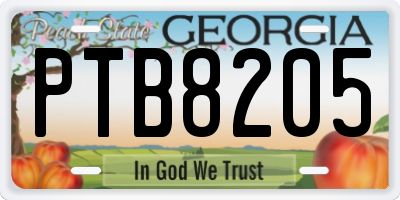 GA license plate PTB8205