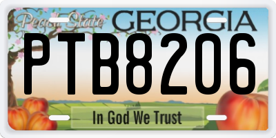 GA license plate PTB8206
