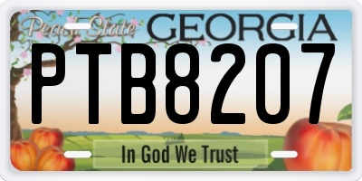 GA license plate PTB8207