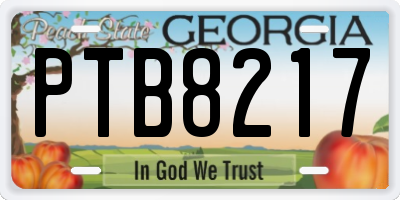 GA license plate PTB8217