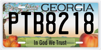 GA license plate PTB8218