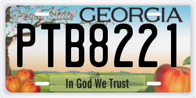 GA license plate PTB8221