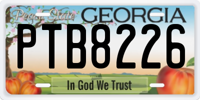 GA license plate PTB8226