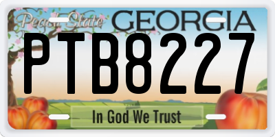 GA license plate PTB8227