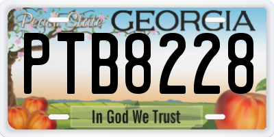 GA license plate PTB8228