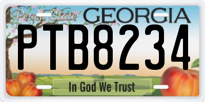 GA license plate PTB8234