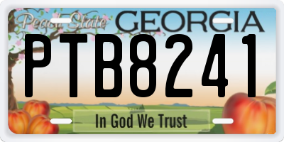 GA license plate PTB8241