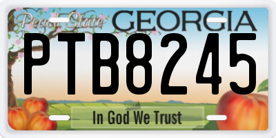 GA license plate PTB8245