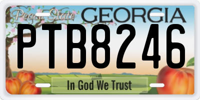 GA license plate PTB8246