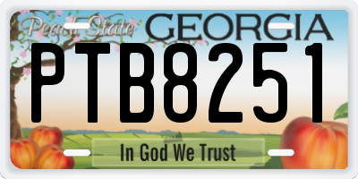 GA license plate PTB8251