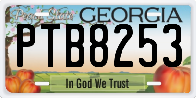 GA license plate PTB8253