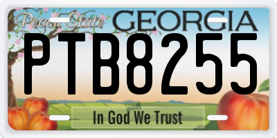 GA license plate PTB8255