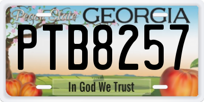 GA license plate PTB8257