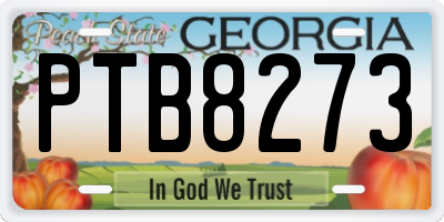 GA license plate PTB8273