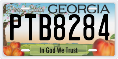GA license plate PTB8284