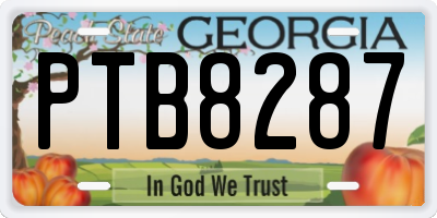 GA license plate PTB8287