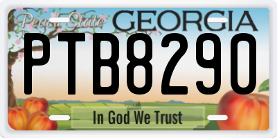 GA license plate PTB8290