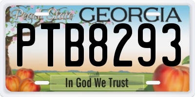 GA license plate PTB8293