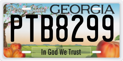 GA license plate PTB8299
