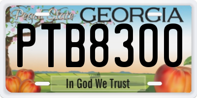 GA license plate PTB8300