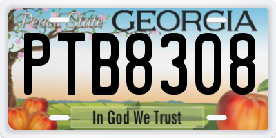 GA license plate PTB8308