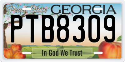 GA license plate PTB8309