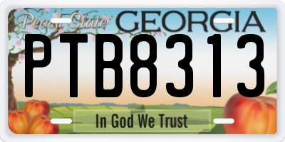 GA license plate PTB8313