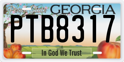 GA license plate PTB8317