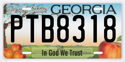 GA license plate PTB8318
