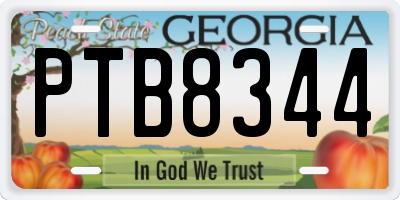 GA license plate PTB8344