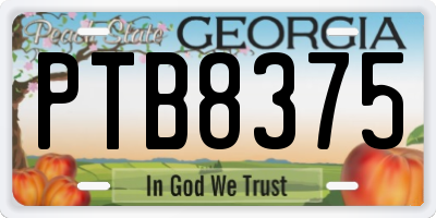 GA license plate PTB8375