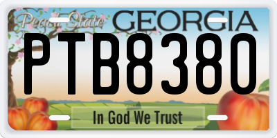 GA license plate PTB8380