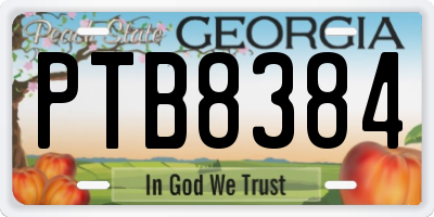 GA license plate PTB8384