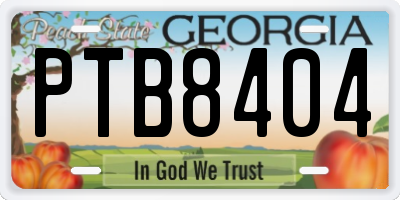 GA license plate PTB8404