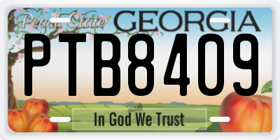 GA license plate PTB8409