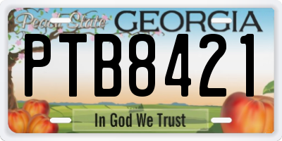 GA license plate PTB8421